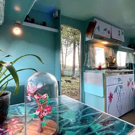 Ir Por Ai Arrábida Campo de lujo *