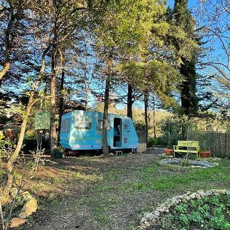 Ir Por Ai Arrabida