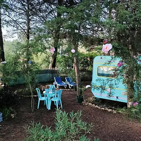 Campo de lujo Ir Por Ai Arrábida