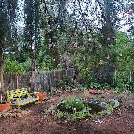 Ir Por Ai Arrábida Campo de lujo Azeitão