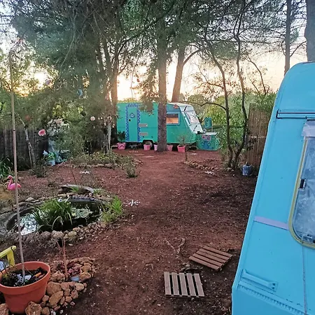 Ir Por Ai Arrábida *