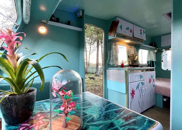 Ir Por Ai Arrábida Campo de lujo *