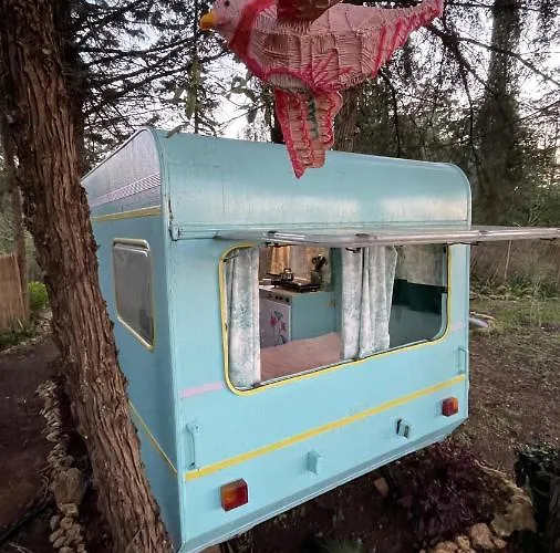 Ir Por Ai Arrábida * Azeitão