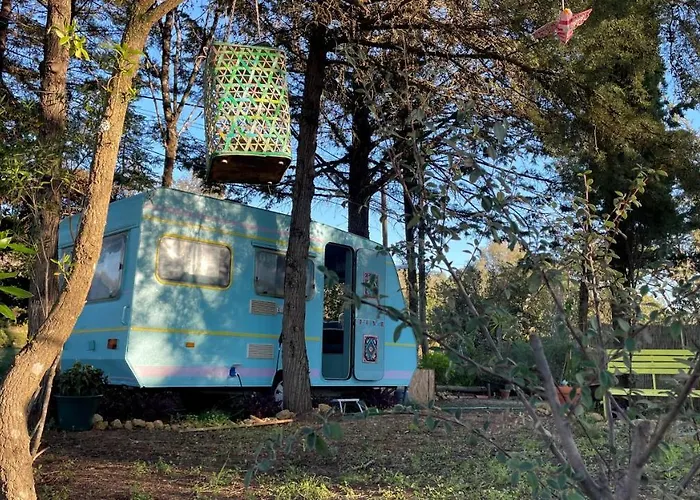 Ir Por Ai Arrábida *