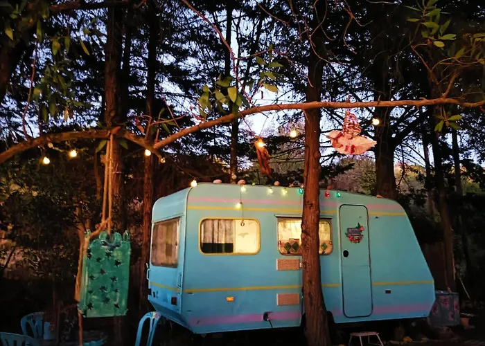 Campo de lujo Ir Por Ai Arrábida Azeitão