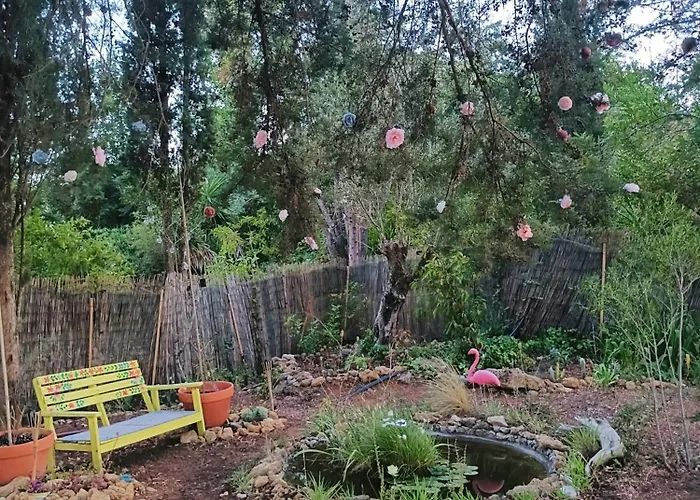 Ir Por Ai Arrábida Campo de lujo Azeitão