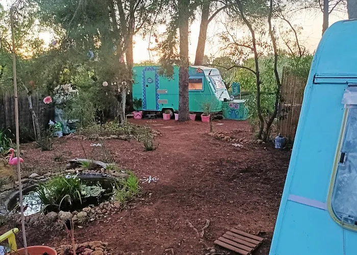 Ir Por Ai Arrábida *