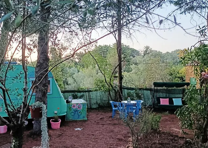 Ir Por Ai Arrábida Campo de lujo *